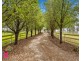 54 Cases Lane, Mount Lambie NSW 2790