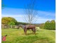 54 Cases Lane, Mount Lambie NSW 2790