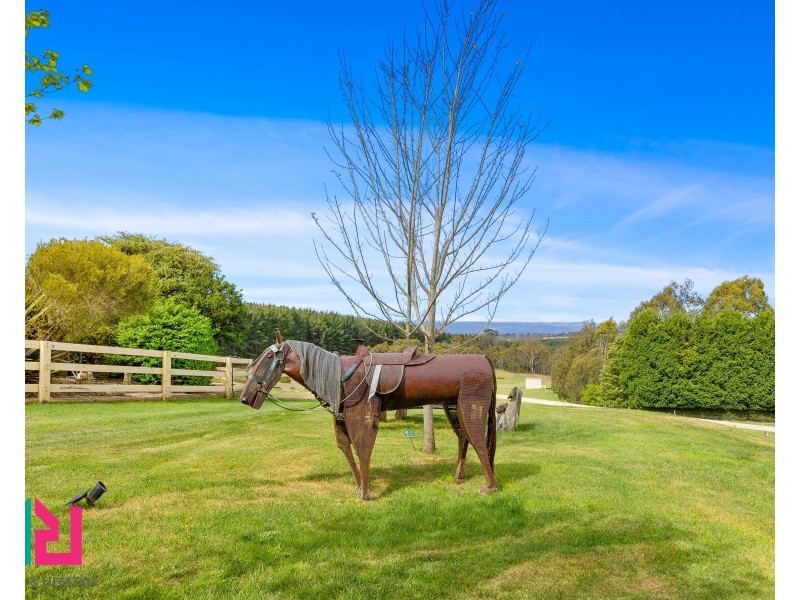 54 Cases Lane, Mount Lambie NSW 2790