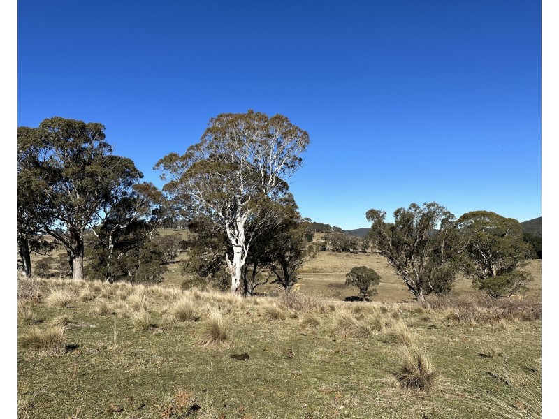 182 Norman Lee Road, Hampton NSW 2790