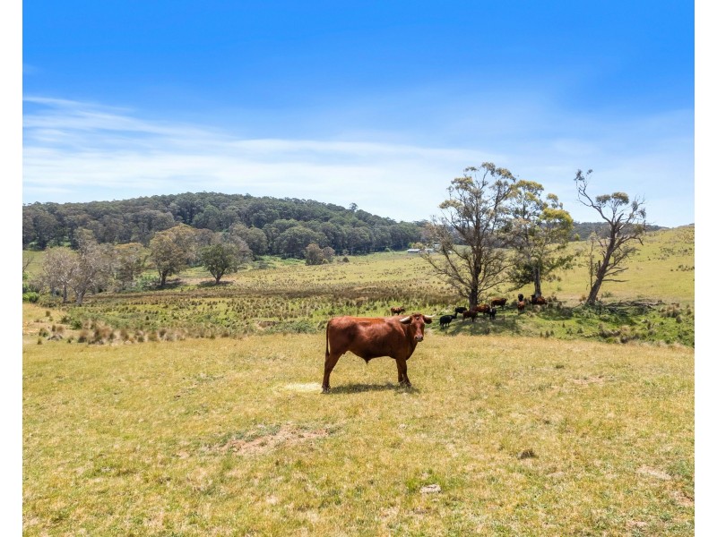 182 Norman Lee Road, Hampton NSW 2790