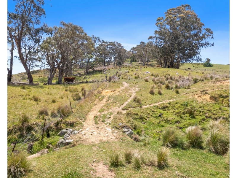 182 Norman Lee Road, Hampton NSW 2790