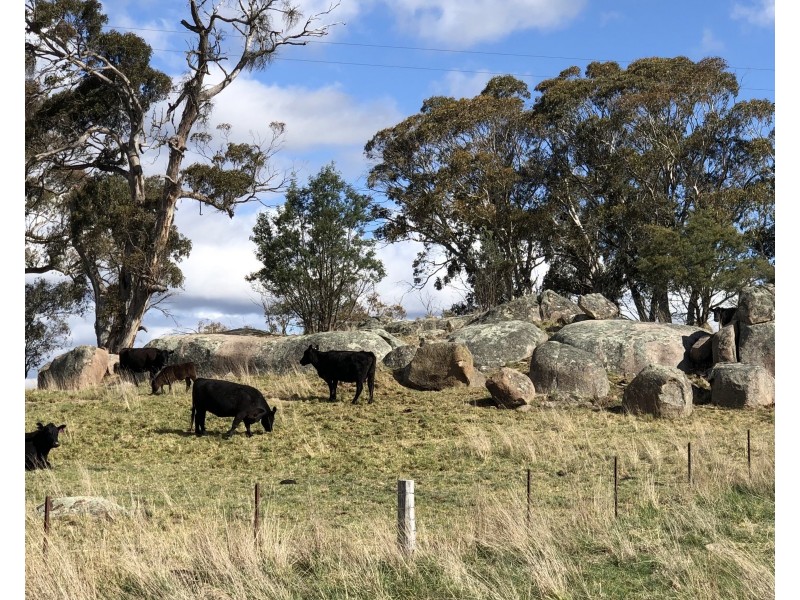 283 Ferndale Road, Oberon NSW 2787