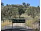 2012 Turondale Road, Turondale NSW 2795