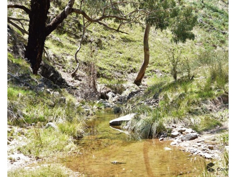 2012 Turondale Road, Turondale NSW 2795