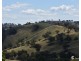 2012 Turondale Road, Turondale NSW 2795