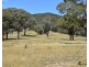 2012 Turondale Road, Turondale NSW 2795