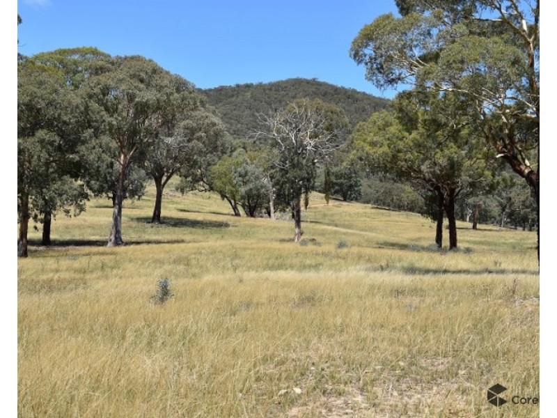 2012 Turondale Road, Turondale NSW 2795
