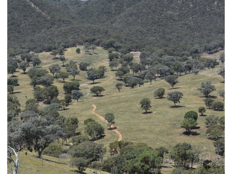 2012 Turondale Road, Turondale NSW 2795