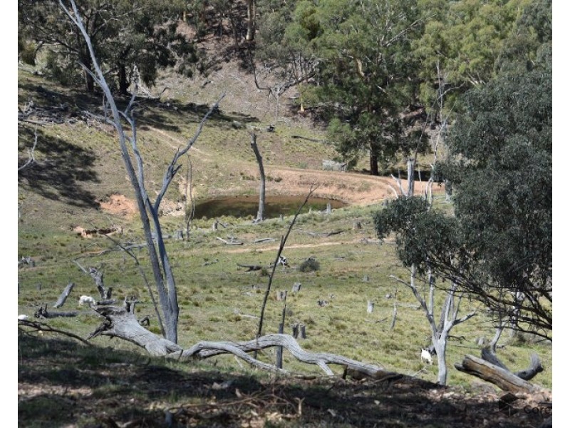 2012 Turondale Road, Turondale NSW 2795