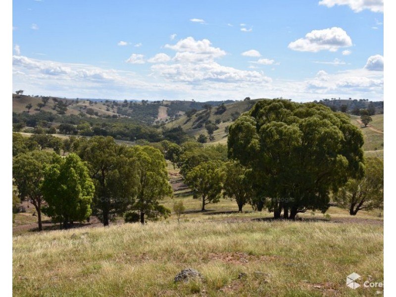 2012 Turondale Road, Turondale NSW 2795