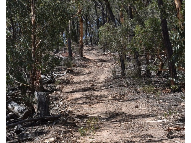 2012 Turondale Road, Turondale NSW 2795