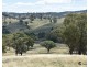2012 Turondale Road, Turondale NSW 2795