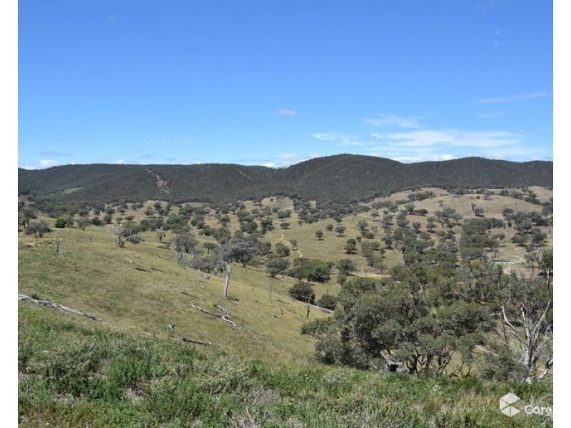 2012 Turondale Road, Turondale NSW 2795