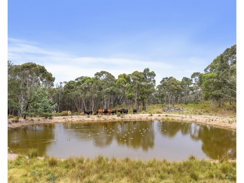 558 Razorback Road, Running Stream NSW 2850