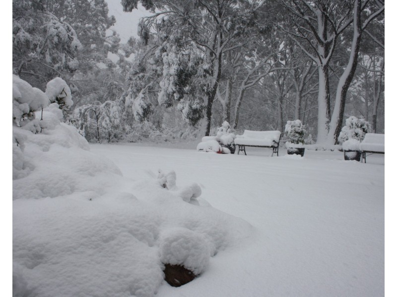 283 Chifley Road, Dargan NSW 2786