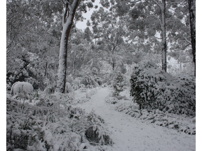 283 Chifley Road, Dargan NSW 2786