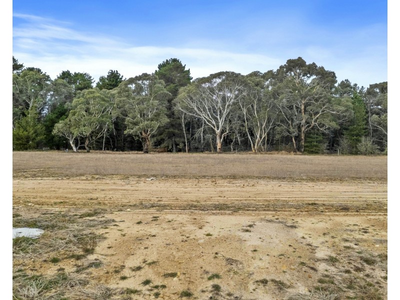 12 Carriers Arms Close, Lidsdale NSW 2790, Lidsdale NSW 2790