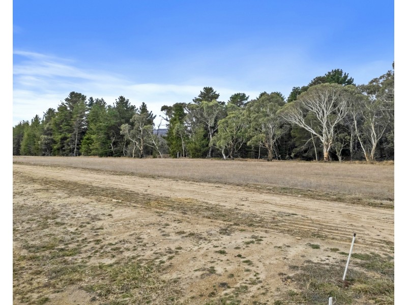 12 Carriers Arms Close, Lidsdale NSW 2790, Lidsdale NSW 2790