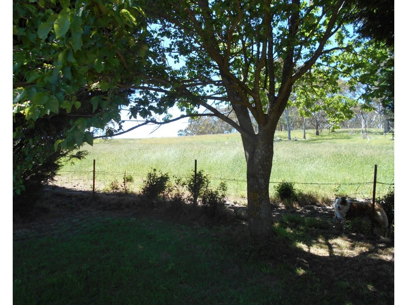 286 Range Road, Meadow Flat NSW 2795