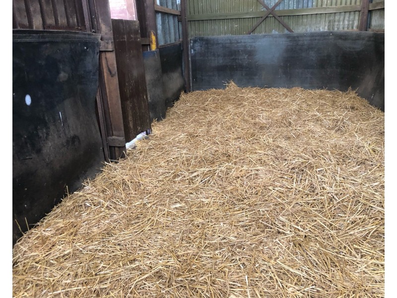 286 Range Road, Meadow Flat NSW 2795