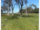 286 Range Road, Meadow Flat NSW 2795