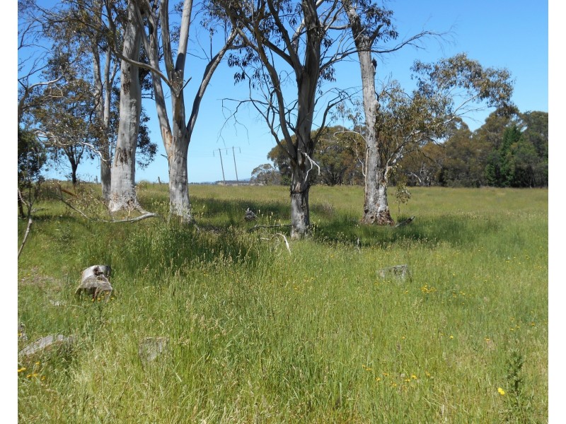 286 Range Road, Meadow Flat NSW 2795