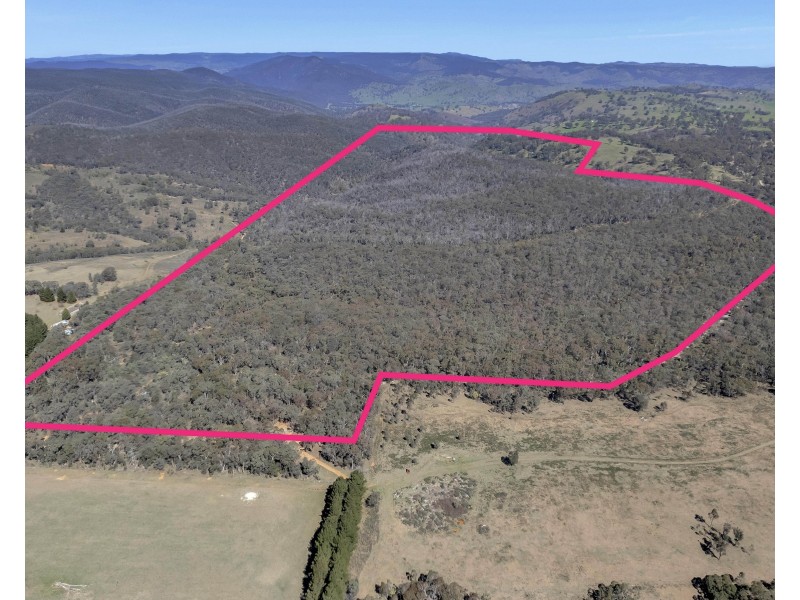 539 Razorback Road, Running Stream NSW 2850