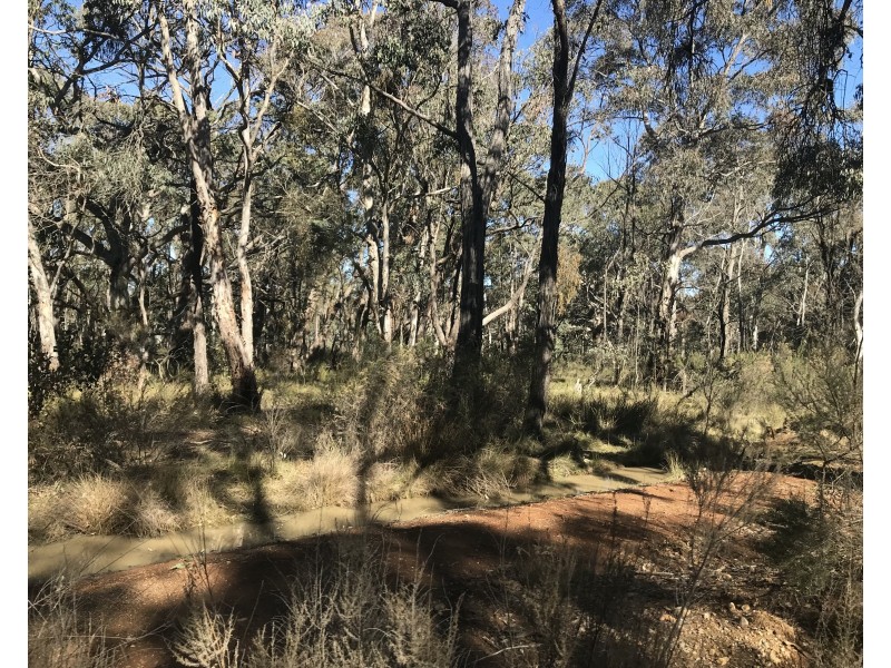 539 Razorback Road, Running Stream NSW 2850