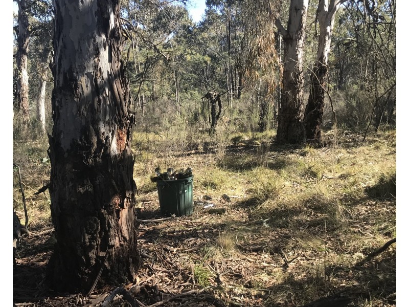 539 Razorback Road, Running Stream NSW 2850