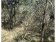 539 Razorback Road, Running Stream NSW 2850
