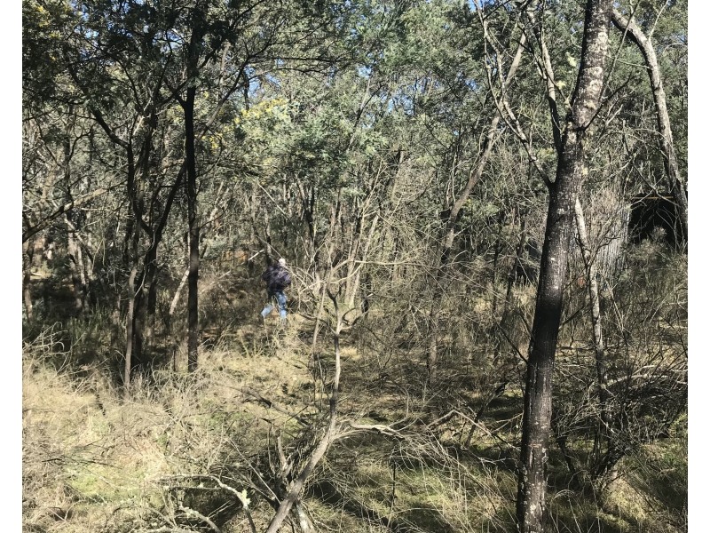 539 Razorback Road, Running Stream NSW 2850
