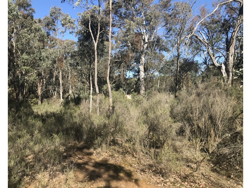 539 Razorback Road, Running Stream NSW 2850