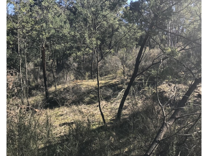 539 Razorback Road, Running Stream NSW 2850