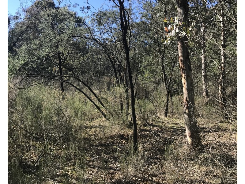 539 Razorback Road, Running Stream NSW 2850