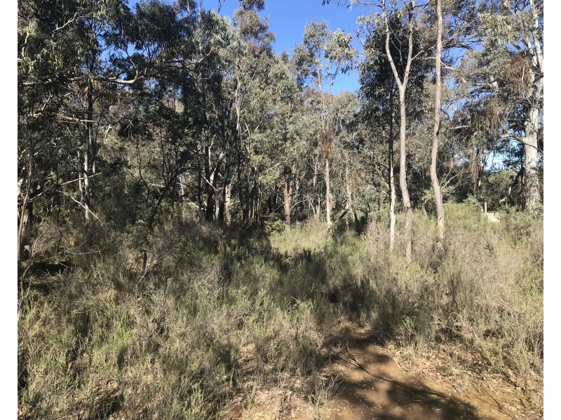 539 Razorback Road, Running Stream NSW 2850