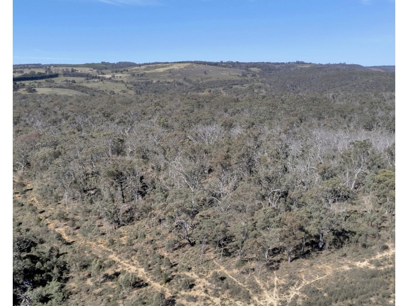 539 Razorback Road, Running Stream NSW 2850