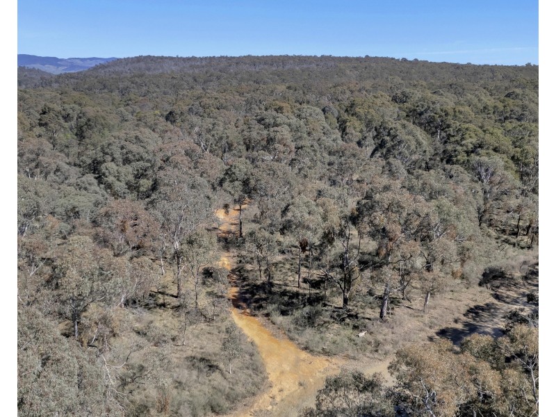 539 Razorback Road, Running Stream NSW 2850