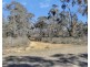 539 Razorback Road, Running Stream NSW 2850