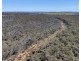 539 Razorback Road, Running Stream NSW 2850