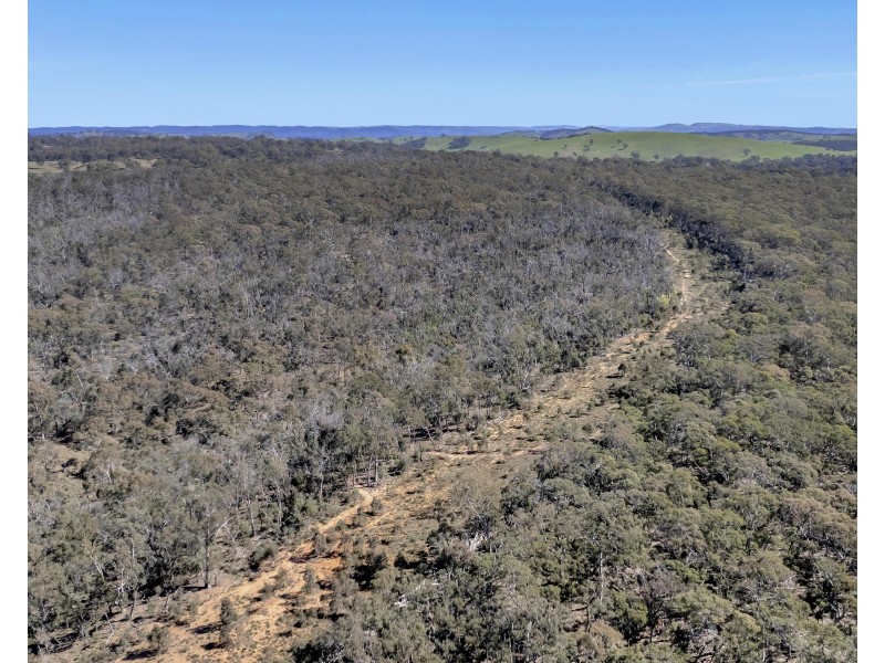 539 Razorback Road, Running Stream NSW 2850
