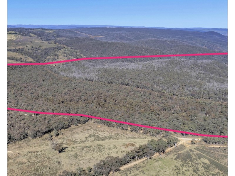 539 Razorback Road, Running Stream NSW 2850