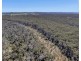 539 Razorback Road, Running Stream NSW 2850