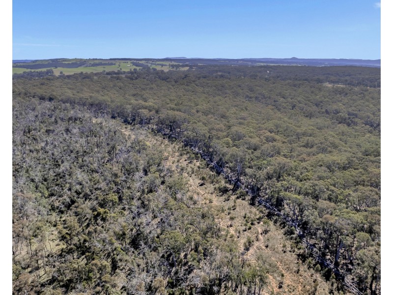 539 Razorback Road, Running Stream NSW 2850