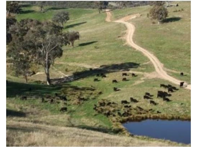 2102 Turondale Road, Turondale NSW 2795