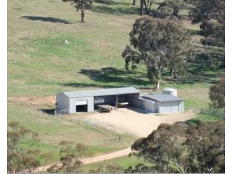 2102 Turondale Road, Turondale NSW 2795