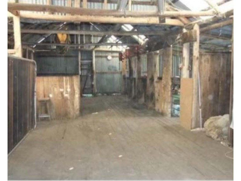 2102 Turondale Road, Turondale NSW 2795