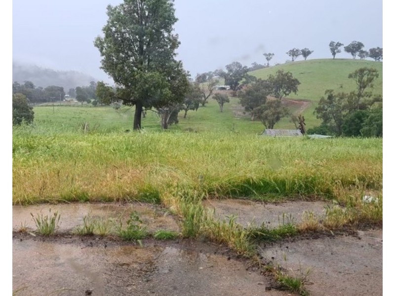 2102 Turondale Road, Turondale NSW 2795