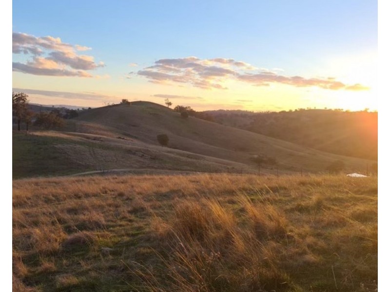 2102 Turondale Road, Turondale NSW 2795