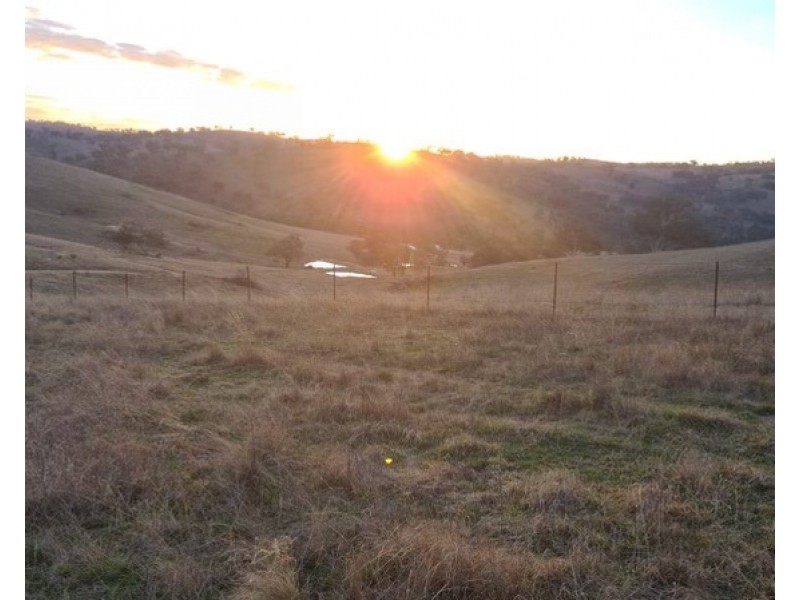 2102 Turondale Road, Turondale NSW 2795